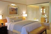 Ritz Carlton Residences Difc Downtown Hotel